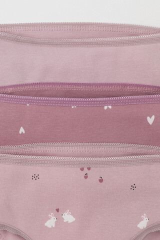 набор трусы/ уп  для девочки  К 1909-3уп/морозная вишня,розовый лед,зайки Ал