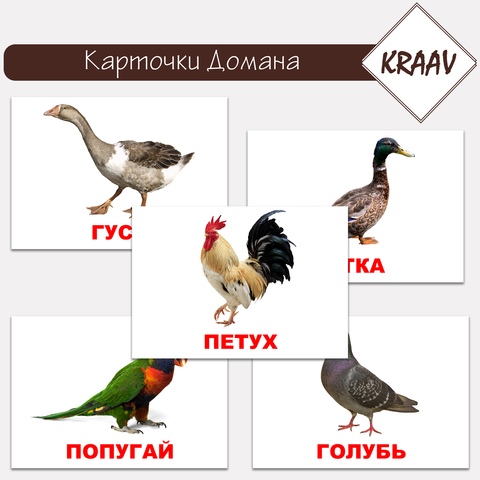 Карточки Домана "Птицы домашние"