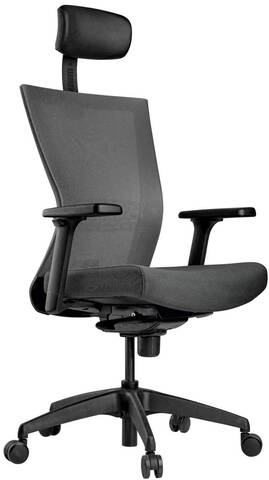 Кресло эргономичное SCHAIRS AIREX AIRE-111B каркас черный, сетка IR05GY / ткань T01GY серая