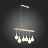 Светильник подвесной Evoluce Bagetti SL1142.503.06