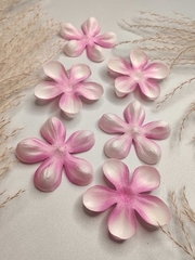 Молд пластиковый+вайнер силиконовый 