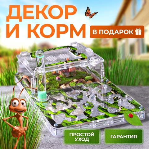 Муравьиная ферма с муравьями Стандарт 