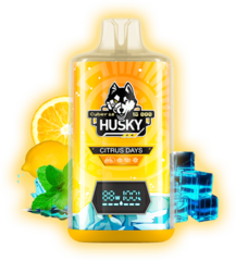 Одноразовая электронная сигарета Husky Cyber 2.0 - Citrus Days (18000 затяжек)