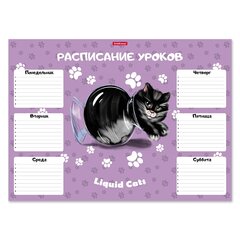 
          Расписание уроков А3 297 х 410 мм, Erich Krause, плотный мелованный картон, "Жидкие коты" (черный котик в вазе, сирен.фон)