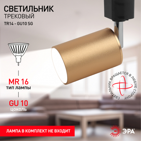 Трековый светильник ЭРА TR14-GU10 SG сатин-золото