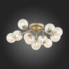 Люстра потолочная ST Luce Pallеre SL438.202.12
