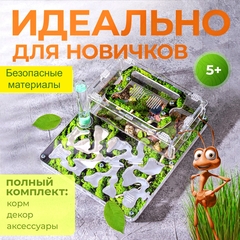 муравьиная ферма