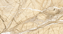 Плинтус потолочный барельефный 55х55мм 2,5м Идеал Мармори Мрамор сахара 104