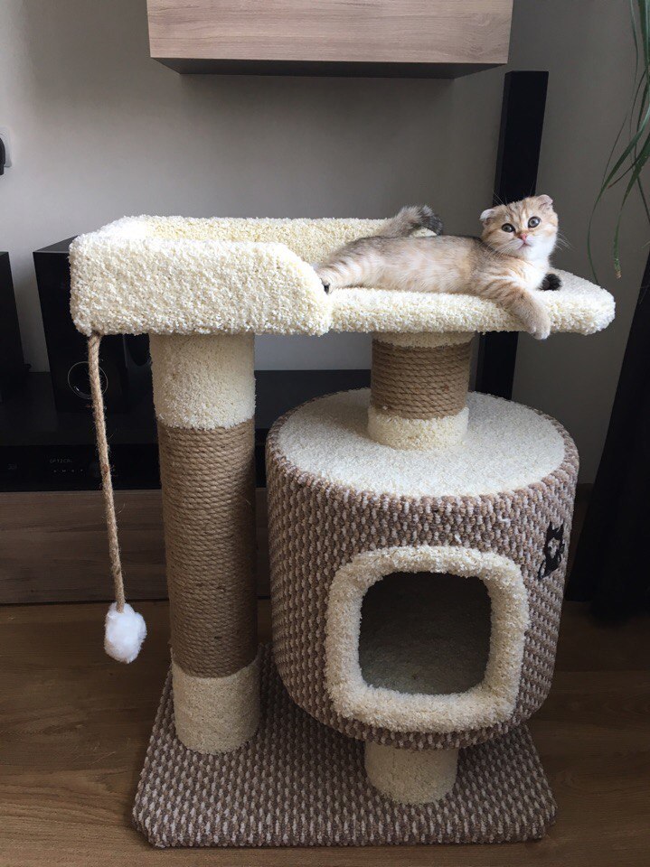 Мебель для кошек Лапа Моя – производство домиков, игровых комплексов и когтеточек