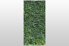 Цифровая печать Xpoint / Икспоинт. Арт панель 0627.01, 300х145 см