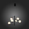 Светильник подвесной ST Luce Donolo SL395.413.06