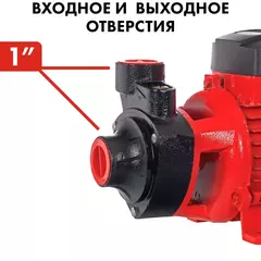 Насос садовый QUATTRO ELEMENTI Giardino 601 Ci (600 Вт, 2700 л/ч, для чистой, 42 м, 7,8 кг)