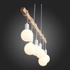 Светильник подвесной Evoluce Bagetti SL1142.503.06