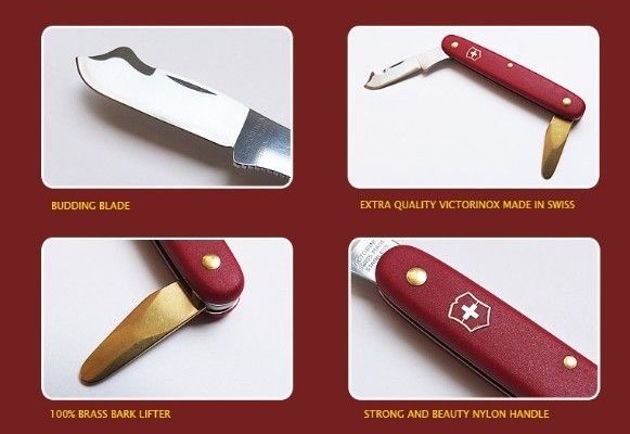 Прививочный Нож Victorinox Купить