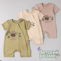 ассорти (оливковый, песочный, серый)