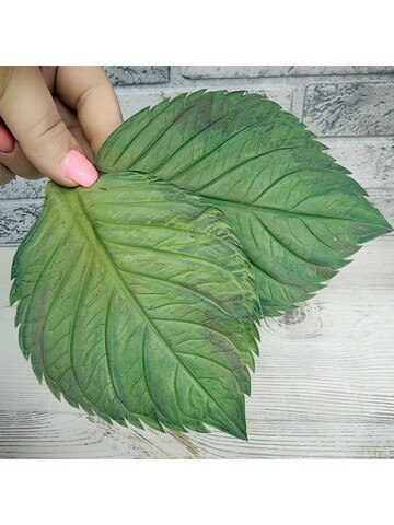 Молды пластиковые листья универсальные 3шт