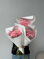 Охапка диантусов в бело-розовом оттенке 10 шт