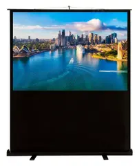 Экран Cactus 120x160см FloorCompactExpert CS-PSFLCE-160X120 4:3 напольный рулонный — фото 4