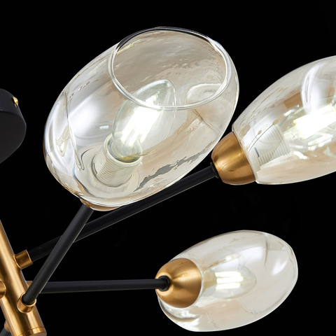 Люстра потолочная Evoluce Gloa SLE155502-06