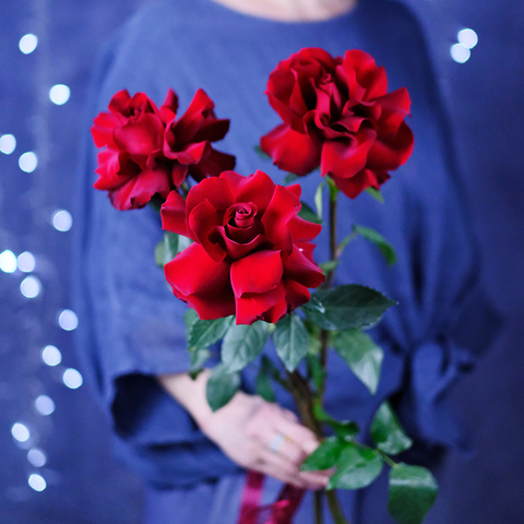 Букет французских роз Red