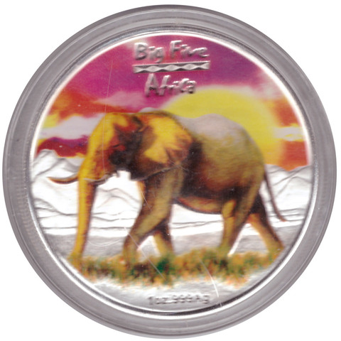 240 франков Конго 2008 г. Большая Африканская пятерка - Слон. Серебро АЦ с цветной печатью