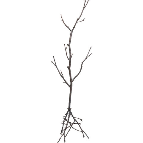 Вешалка Tree, коллекция 