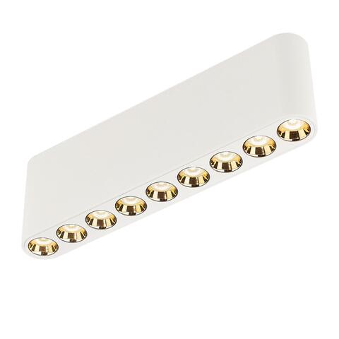 Потолочный светодиодный светильник Odeon Light SMALL 7091/21CL