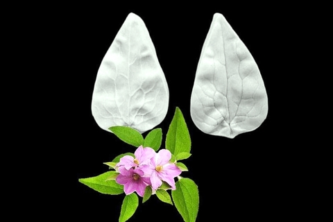 Силиконовый молд 