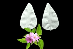 Силиконовый молд 