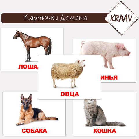 Карточки Домана "Домашние животные"
