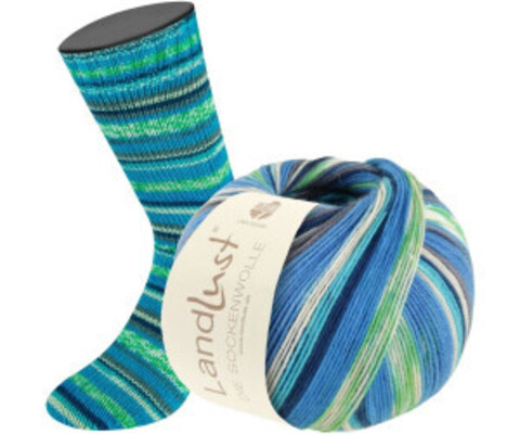 Пряжа Lana Grossa Landlust die Sockenwolle IX 316