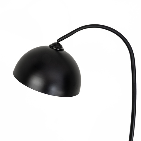 Торшер Modemodern MD.8818.01FL