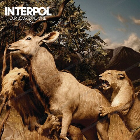 Виниловая пластинка. Interpol - Our Love To Admire