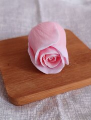Силиконовая форма 