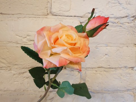 роза, 44см , цвет розовая -салатная