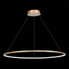 Светильник подвесной ST Luce ST603.243.46