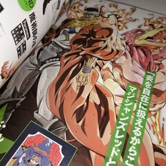Артбук JoJo's Bizarre Adventure: Stardust Crusaders - Stand Up Guide (на японском языке)