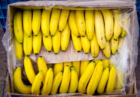 Бананы, кг