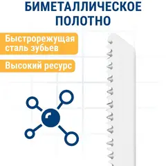 Пилки для лобзика по ламинату ПРАКТИКА тип T101AIF 100 х 75 мм, чистый рез, BIM (2шт.) (034-601)
