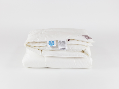 Одеяло всесезонное облегченное 220х240 German Grass Downline Cloud Down