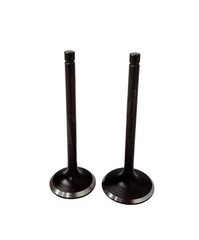 Клапаны (пара) LC1P96F/500550064-0001