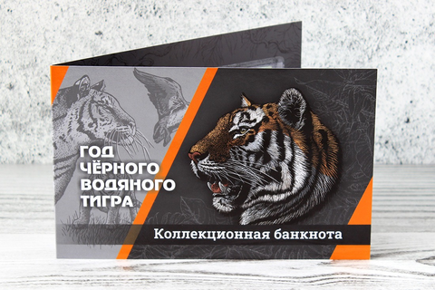 Коллекционная сувенирная банкнота 5000 рублей Год Черного Водяного Тигра 2022 - Достижение целей в буклете
