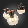 Люстра потолочная Evoluce Rasco SLE108102-05