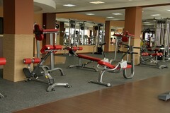 Скамья для пресса фиксированная Aerofit IFAC
