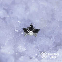 Royal Lily Black