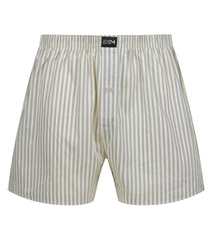 Трусы мужские боксеры 2 шт. в упаковке DIM 0DXY | Ретро полоски/Зеленый