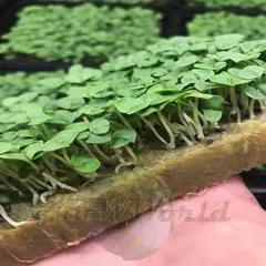 Коврик из минеральной ваты 170x100x20 мм