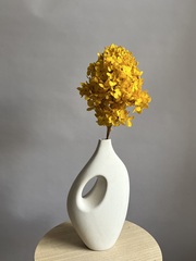 Гортензия стабилизированная горчичная крупнолистная