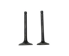 Клапаны (пара) LC2V78F-2A/500550030-0001