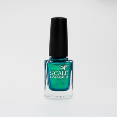 If I Could Erase It (LE)